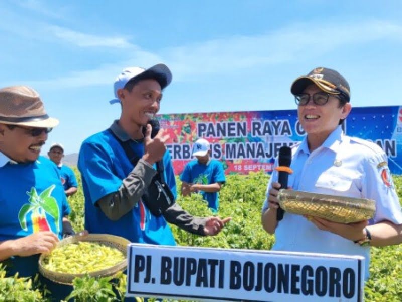 Bupati Bojonegoro dan BRIN ajak kembangkan budi daya cabai di Sambongrejo