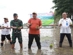 Semangat Tanam Padi Bersama Plt Bupati Malang, Petani Tangguh Menuju Malang Makmur