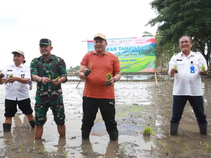 Plt Bupati Malang, Didik Gatot Subroto, menghadiri Gerakan Tanam Padi bersama Petani Tangguh Malang Makmur.