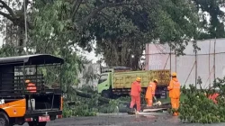 BPBD bersama DLH Kota Blitar antisipasi cuaca buruk dengan perampasan pohon rawan roboh untuk mencegah bencana.