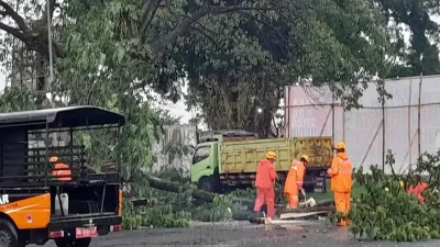 BPBD bersama DLH Kota Blitar antisipasi cuaca buruk dengan perampasan pohon rawan roboh untuk mencegah bencana.