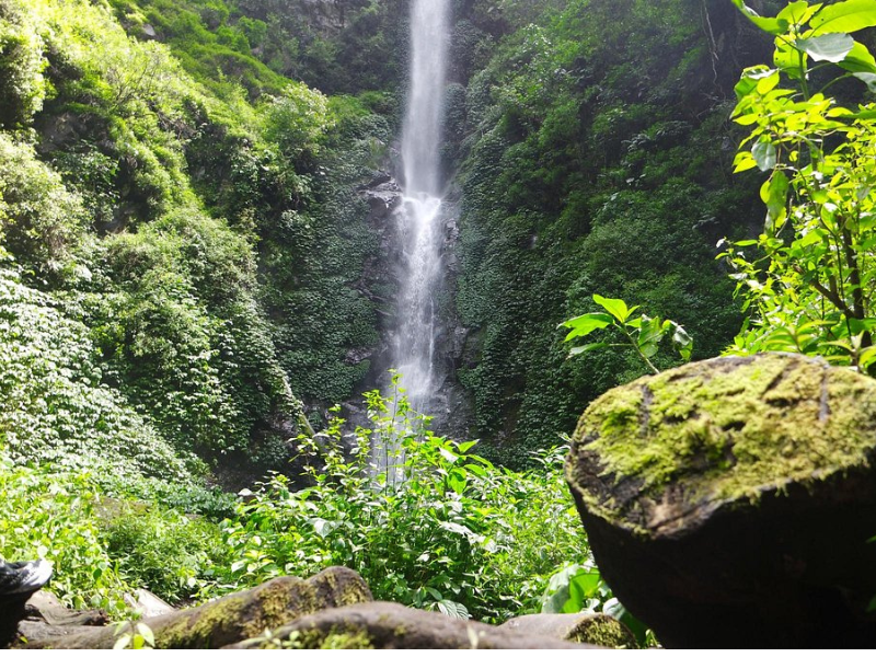 Wisata Air Terjun Malang