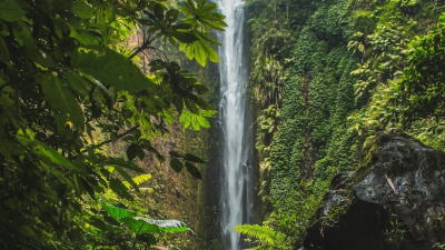 Coban Glotak Malang: Melodi Alam dengan Panorama Eksotis