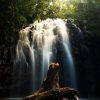 5 Air Terjun Terindah di Malang yang Instagramable, Menakjubkan!