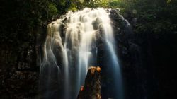 5 Air Terjun Terindah di Malang yang Instagramable, Menakjubkan!