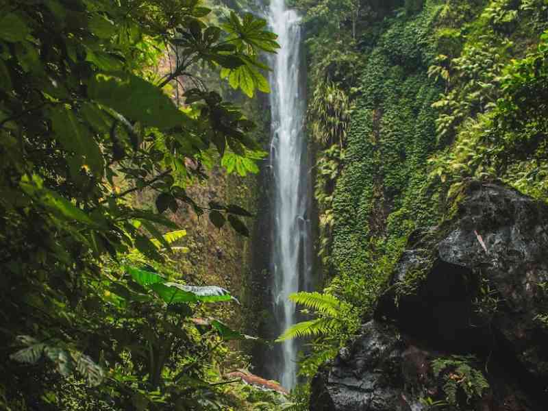 Wisata Coban Glotok