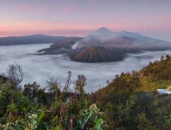 Kenaikan Tarif Masuk Taman Nasional Bromo Tengger Semeru Picu Keluhan Pengelola Jasa Wisata