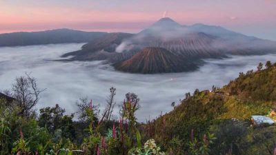 Kenaikan harga tikrt Gunung Bromo 100 persen untuk wisatawan nusantara menyebabkan banyak pembatalan kunjungan di industri pariwisata.