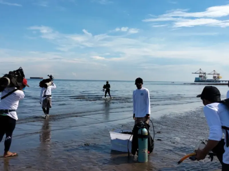 Diskan Probolinggo dan DKP Jatim gelar Underwater Clean Up di Pantai Bohay. Sumber : Istimewa.