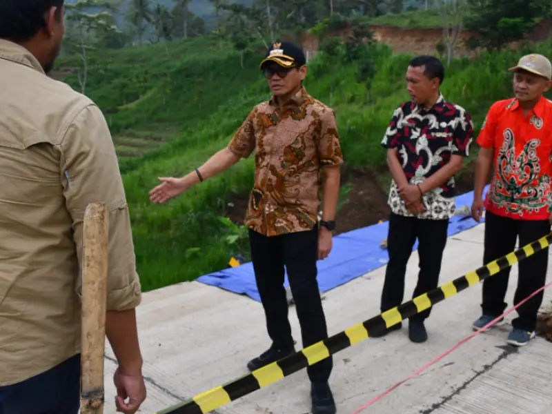 Pj Bupati Heru Suseno tinjau lokasi longsor di Pagerwojo dan Sendang (20/11/2024). Sumber : Istimewa.