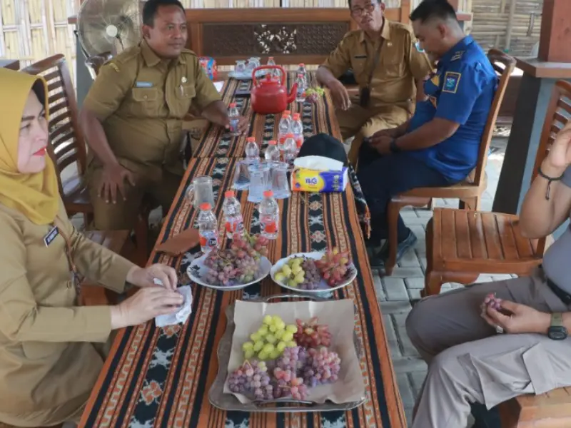 Kebun Edukasi Anggur Desa Krejengan sejuk dan segar. Sumber : Istimewa.