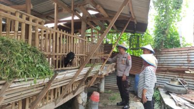 Mengenal KWT Bangun Sejahtera: Agrowisata yang Dikelola Ibu Rumah Tangga di Burengan Kediri