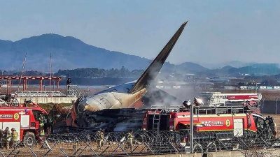 Kecelakaan pesawat Jeju Air di Muan, Korea Selatan, diduga disebabkan oleh tabrakan dengan burung, menyebabkan kerusakan pada roda pendaratan.