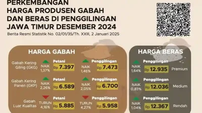 Harga Gabah