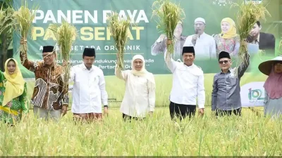 Khofifah Apresiasi Panen Padi Organik di Pasuruan, Tren Pangan Sehat Masa Depan