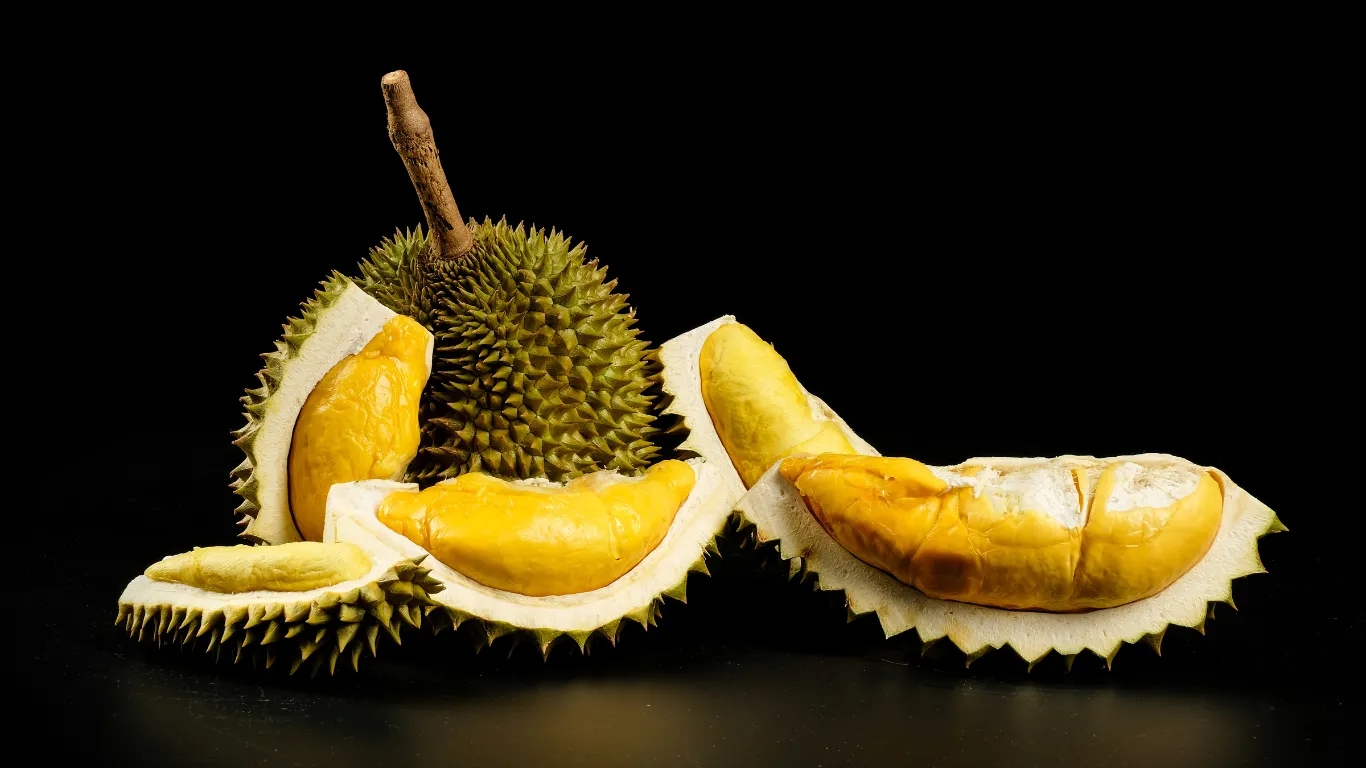 Musim durian telah tiba! Temukan manfaat kesehatan dari durian, mulai dari meningkatkan kekebalan tubuh hingga mendukung kesehatan jantung.