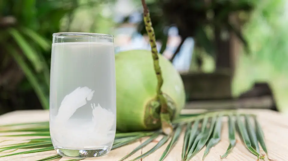 Air kelapa kaya nutrisi dan bermanfaat untuk hidrasi, tetapi ada beberapa kondisi kesehatan yang memerlukan perhatian khusus sebelum mengonsumsinya.