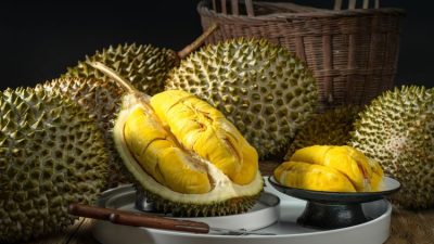 Ilustrasi durian Vietnam yang diekspor ke China, menunjukkan lonjakan permintaan dan kualitas produk yang tinggi.