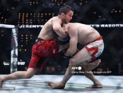 Kekalahan Pertama Umar Nurmagomedov: Merab Dvalishvili Menangkan UFC 311