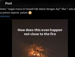 Jauh dari Lokasi Kebakaran Los Angeles, Pohon Palem Warga Tiba-tiba Terbakar Habis, Kok Bisa?