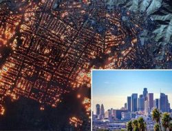 Kebakaran Hutan Los Angeles: 11 Tewas, 180 Ribu Dievakuasi, dan Kerugian Mencapai Rp 2.447 Triliun!