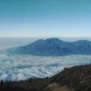 Eksplorasi Gunung Arjuno, Keindahan Alam yang Memesona!