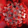 Virus Baru di China: Human Metapneumovirus (HMPV) Meningkat, Apa Dampaknya?