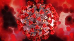 Virus Baru di China: Human Metapneumovirus (HMPV) Meningkat, Apa Dampaknya?