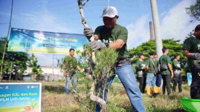 PLN Jatim menggelar aksi tanam pohon, sosialisasi keselamatan listrik, dan donor darah dalam rangka Bulan K3 Nasional 2025