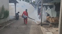 Kasus DBD di Kediri